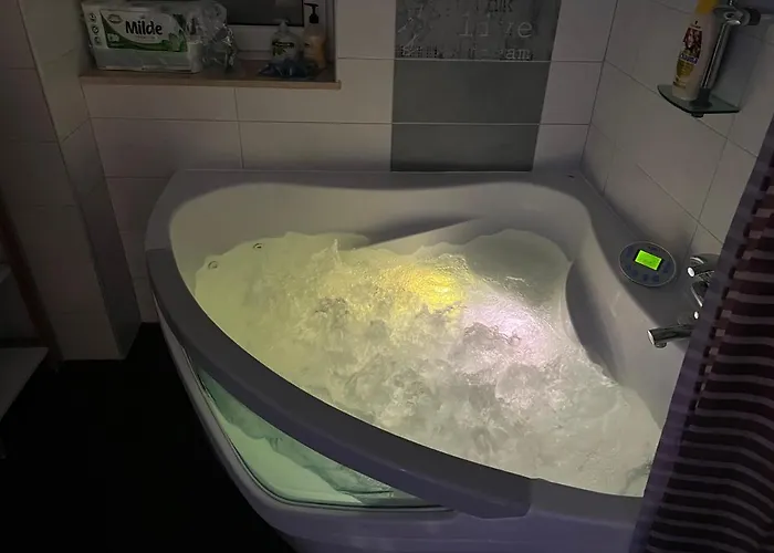 Herastrau Park 布加勒斯特